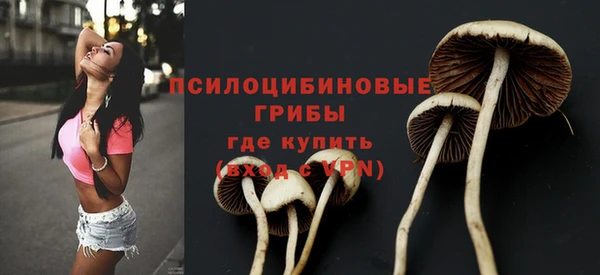 спиды Алексеевка