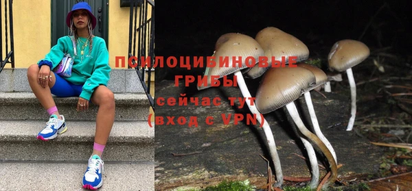 спиды Алексеевка