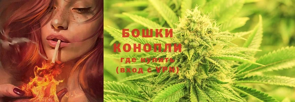 крисы Абдулино