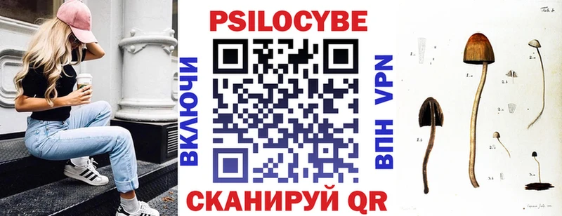 блэк спрут ссылки  Ессентукская  Псилоцибиновые грибы MAGIC MUSHROOMS 